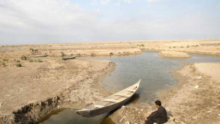 العراق يعلن منع زراعة الأرز والذرة