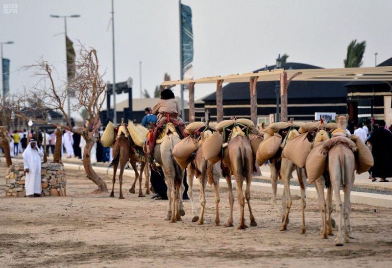 سوق عكاظ .. محطة مهمة في تاريخ المملكة والجزيرة العربية