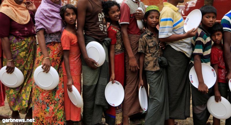 حكومة ميانمار تنشىء لجنة للتحقيق في أوضاع الروهينغا