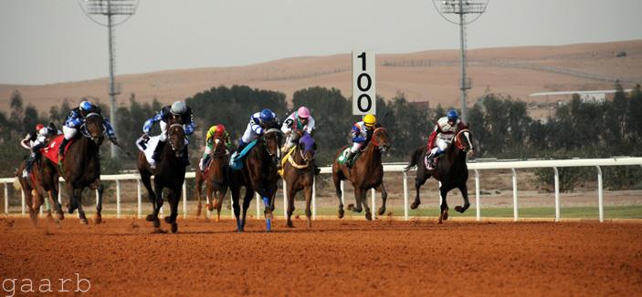 مهرجان الأمير سلطان العالمي للجواد العربي ينطلق غداً