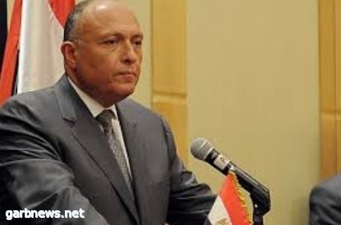 وزير خارجية مصر يشيد بدور منظمة التعاون الإسلامي