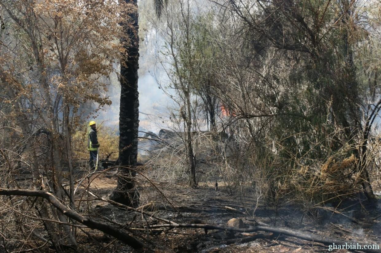 مدني مكة يباشر حريق في مزرعة بحي العمرة