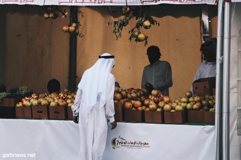 مهرجان الرمان الوطني السابع يواصل فعالياته وسط أجواء ماطرة