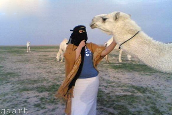 قبلة زوجة سعودية لـ قعود تشعل خلافاً بين عائلتين ينتهي بالقضاء!