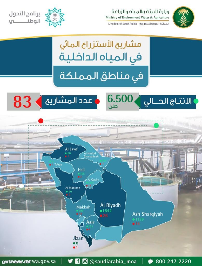 "البيئة": 6.5 ألف طن إنتاج مشاريع الاستزراع المائي في المياه الداخلية خلال 9 أشهر