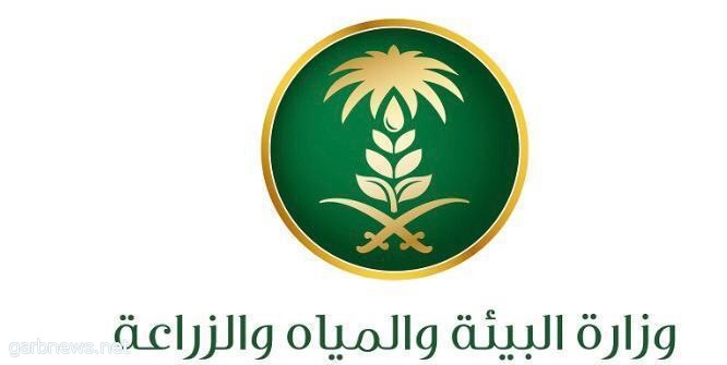 ضبط 27 مخالفة في منشآت بيطرية بمنطقة الباحة ومحافظة الاحساء