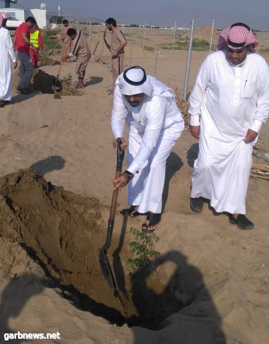 تشجير المرحلة الأولى من طريق جدة مكة القديم