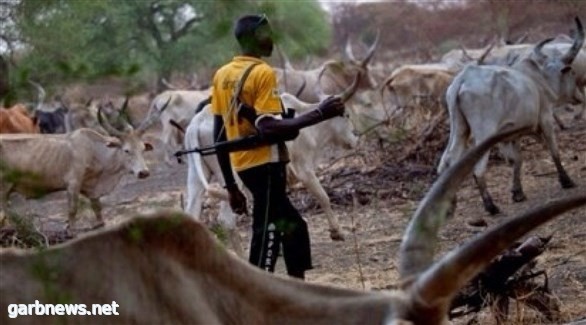 25 قتيلاً بهجمات للصوص ماشية في نيجيريا