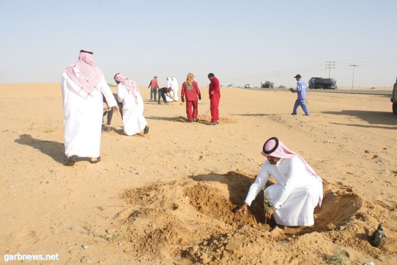 الزراعة تستكمل المرحلة الثانية من التشجير في القنفذه