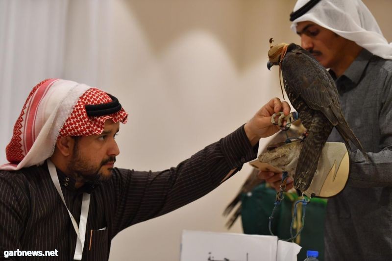 اللجنة المنظمة لمهرجان الملك عبدالعزيز للصقور تعلن انتهاء التسجيل في مسابقات الملواح مع استمرار التسجيل في المزاين