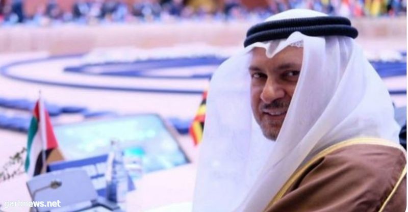 قرقاش: قطر تحولت إلى دولة القضية اليتيمة وتحتاج للتخلي عن نرجسيتها