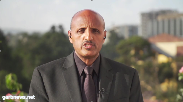 الرئيس التنفيذي للطيران الإثيوبي: تعطل نظام التحكم بالطائرة تسبب في سقوطها