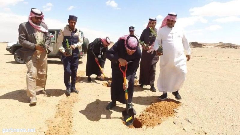 فرع وزارة البيئة بتبوك يستزرع ست أنواع من البذور على طريق شرما