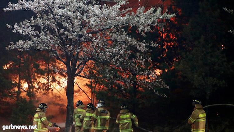 إجلاء الآلاف بسبب حرائق الغابات في كوريا الجنوبية