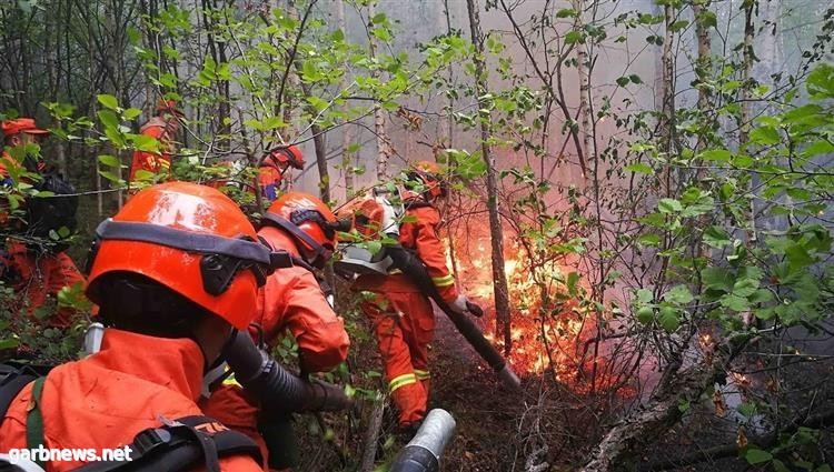 البروق تتسبب في حرائق الغابات بالصين