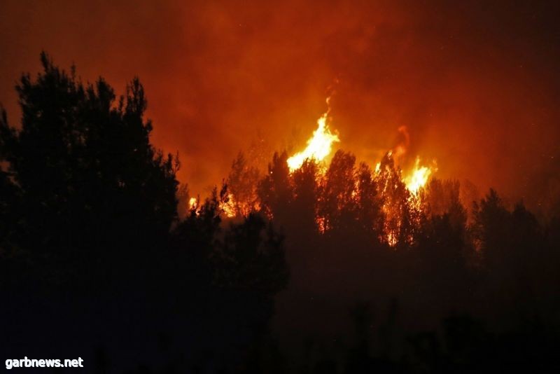 حريق ضخم في منطقة غور الأردن