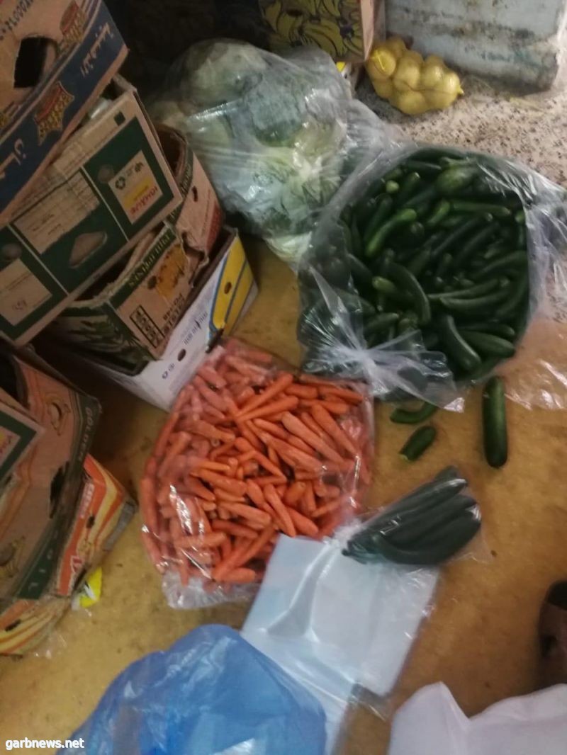 بلدية القطيف تضبط ٦٠٠ كلغم فواكه وخضروات في شقة مخالفة