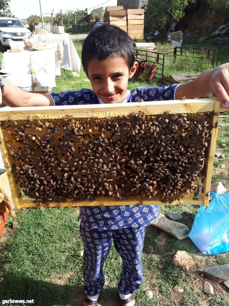 إنطلاق مهرجان العسل الأول بمحافظة ميسان