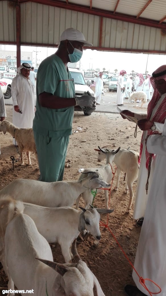 جهود توعوية بيطرية ارشادية في العرضيات