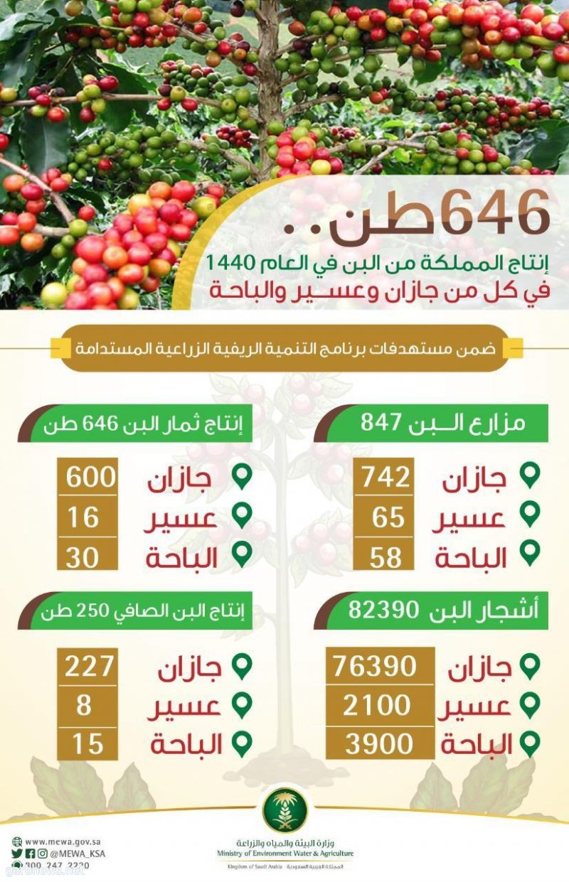 "البيئة" تحتفي باليوم العالمي للقهوة.. وتدعم 30 ألف مزارع لزيادة إنتاج البن بالمملكة