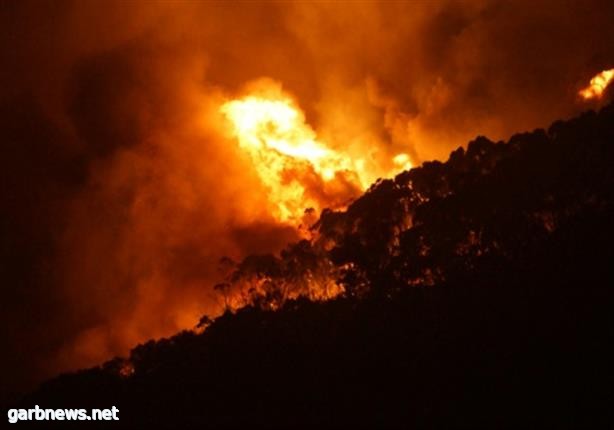 عشرات الحرائق تدمر مساحات شاسعة من الغابات في استراليا