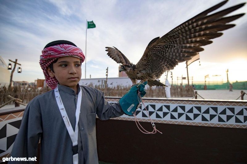 نادي الصقور السعودي.. جسر لنقل التراث من الأجداد إلى الأحفاد