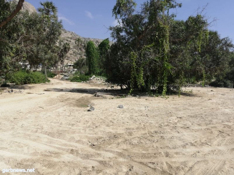 بالصور" وادي الغمار "في هروب جازان الكنز السياحي الذي لايعرفه السعوديون