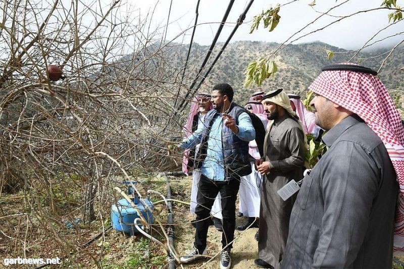 " البيئة بالطائف " .. تنفذ حملة "أخدمها" الإرشادية الزراعية