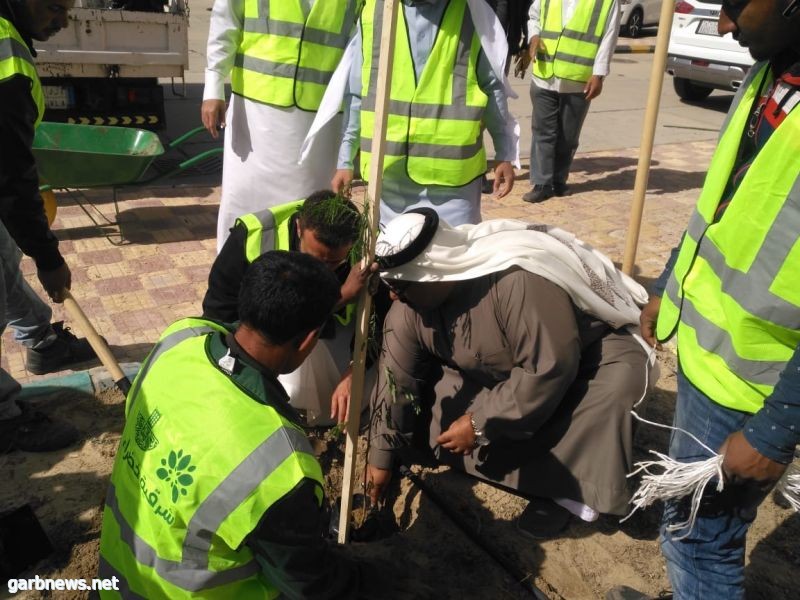 بلدية القطيف: زراعة 2750 زهرة و 680 شجرة في مدارس المحافظة ضمن مبادرة "شرقية خضراء"