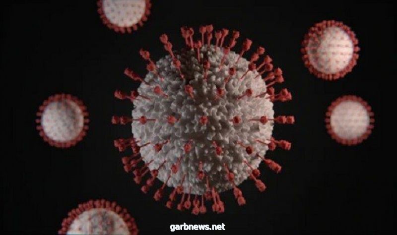 دول لم تعلن عن إصابات بفيروس كورونا حتى الآن.. تعرف عليها