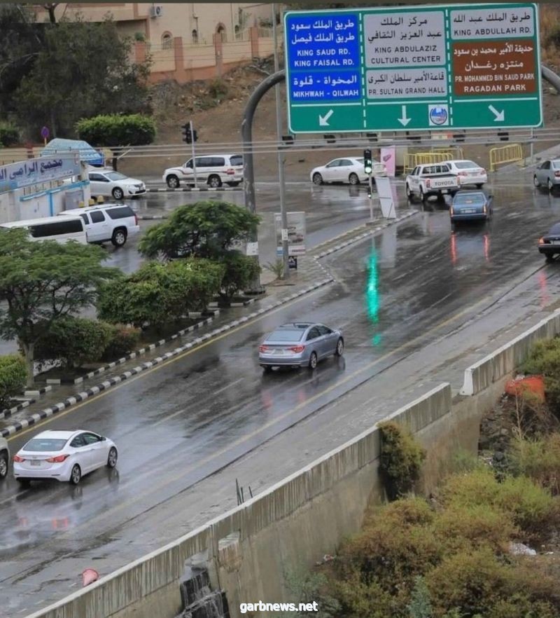 "الأرصاد" تنبّه من أمطار متوسطة إلى غزيرة على الباحة