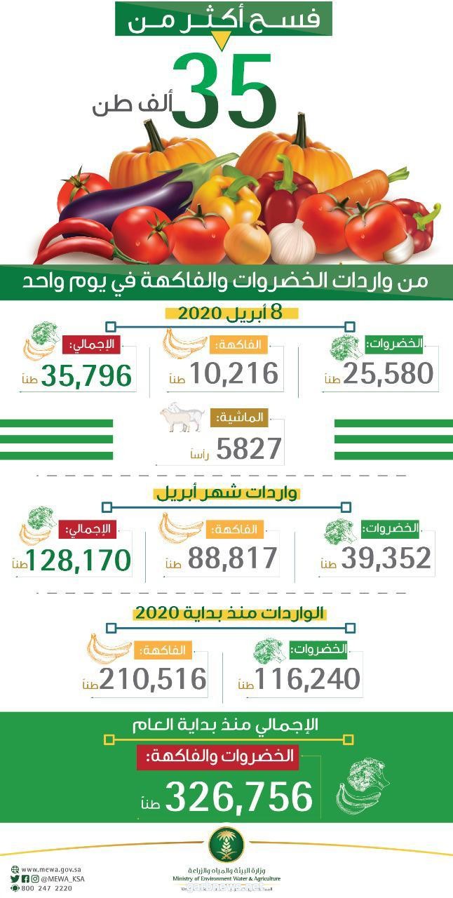 *"البيئة" تفسح أكثر 35.7 ألف طن من الخضروات والفاكهة في 8 أبريل