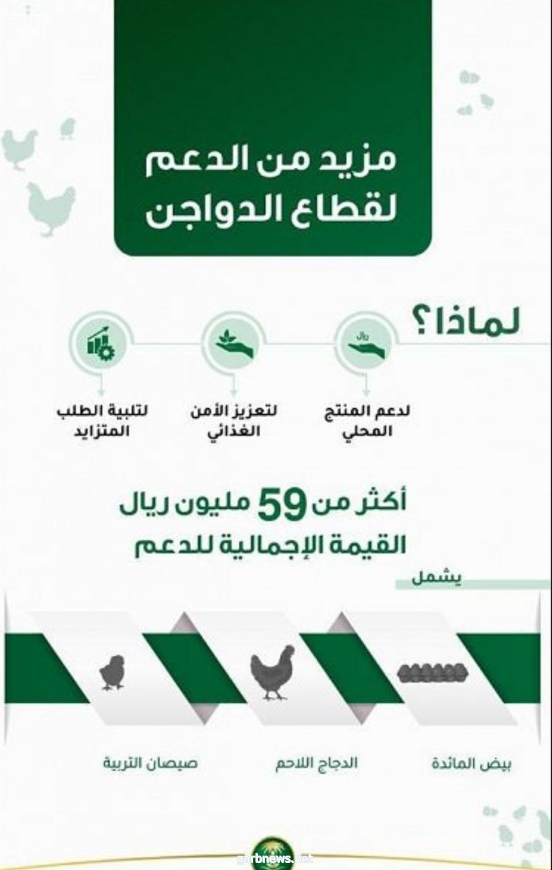 " البيئة " : إيداع أكثر من 59 مليون ريال في حسابات مربي الدواجن