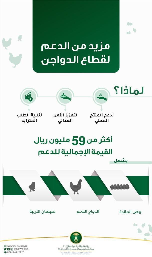 " البيئة " : إيداع أكثر من 59 مليون ريال في حسابات مربي الدواجن