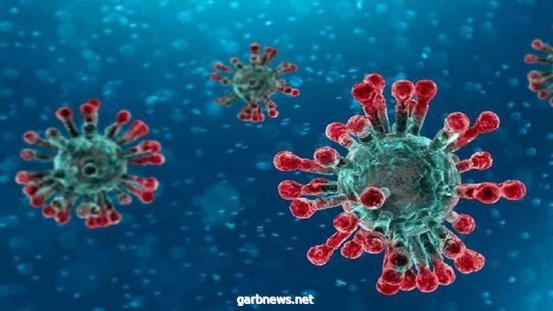دراسة صينية: فيروس #كورونا تطور إلى 30 سلالة انتشرت في جميع أنحاء أوروبا