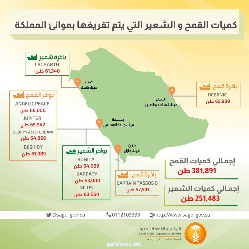 المؤسسة العامة للحبوب": جارٍ تفريغ 381 طن قمح و251 طن شعير