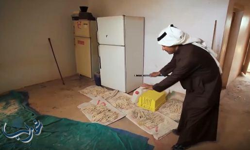 فيديو: باحث سعودي يروي قصة وفاة جدته بسبب لدغة ثعبان