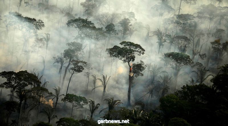 حرائق تجتاح  غابات الأمازون  لم تشهدها  منذ 13 عاماً