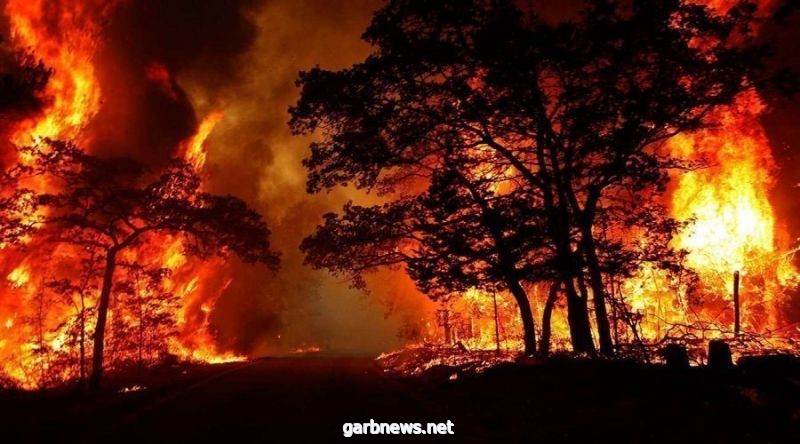 حريق ضخم يلتهم غابات في البرتغال: مئات رجال الإطفاء، وإخلاء سكان