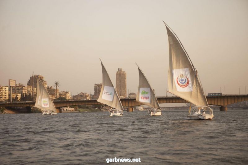 وزيرة الصحة: مصر تستعد للحصول على الاشهاد الدولي من منظمة الصحة العالمية كأول دولة تستطيع القضاء على الفيروسات الكبدية