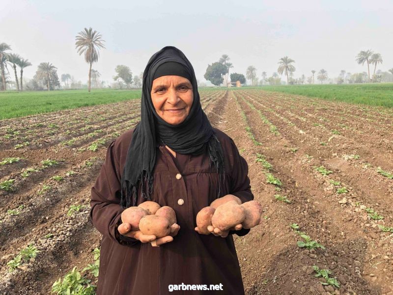 الولايات المتحدة و بيبسيكو مصرتجددان شراكة في مصر لتحسين سبل عيش المزارعين