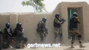 مقتل جنديين في هجوم شمالي النيجر