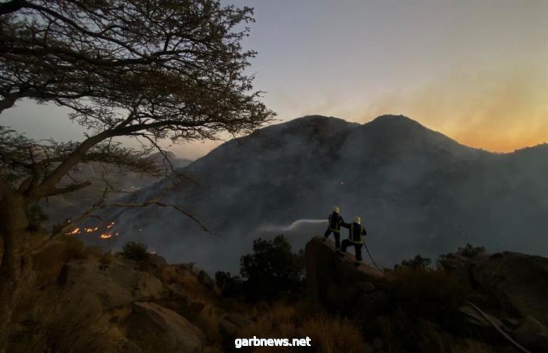 مسؤول بـ "البيئة" يكشف كيف بدأ حريق جبل غلامة.. وكيف سيعوَّض الغطاء النباتي