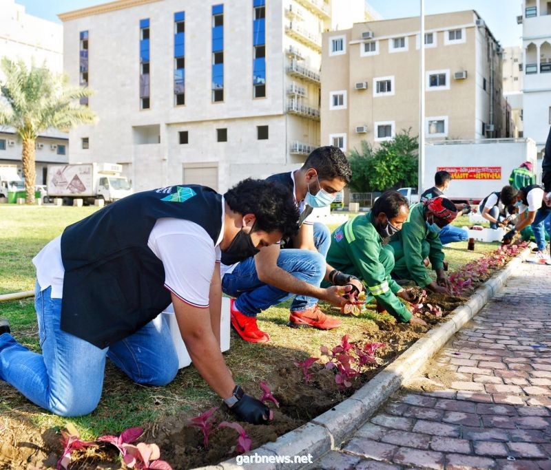 أمانة العاصمة المقدسة تُنفِّذ حملة تطوعية لزراعة النباتات