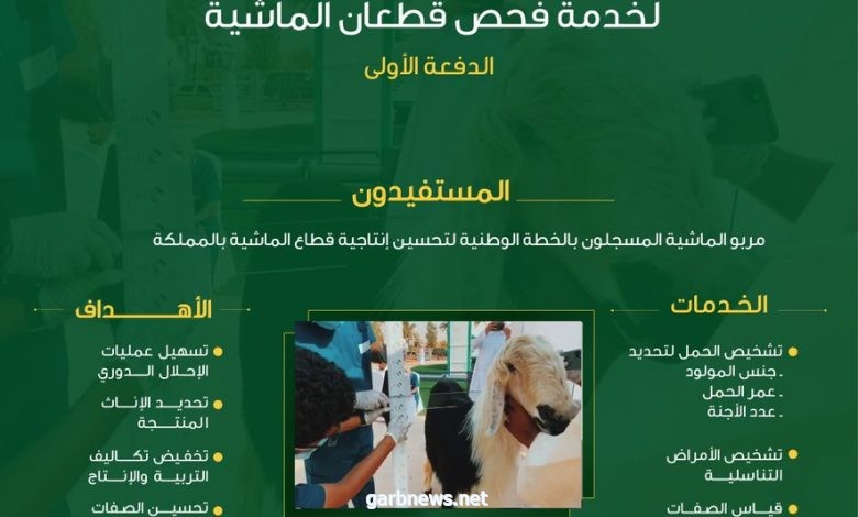 ” البيئة ” تدعم مربي الماشية بـ 200 جهاز سونار المسجلين بالخطة الوطنية