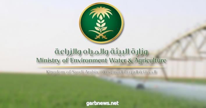 وزارة البيئة والمياه والزراعة تستعيد  200 ألف م² من تعديات المراعي والغابات بعسير