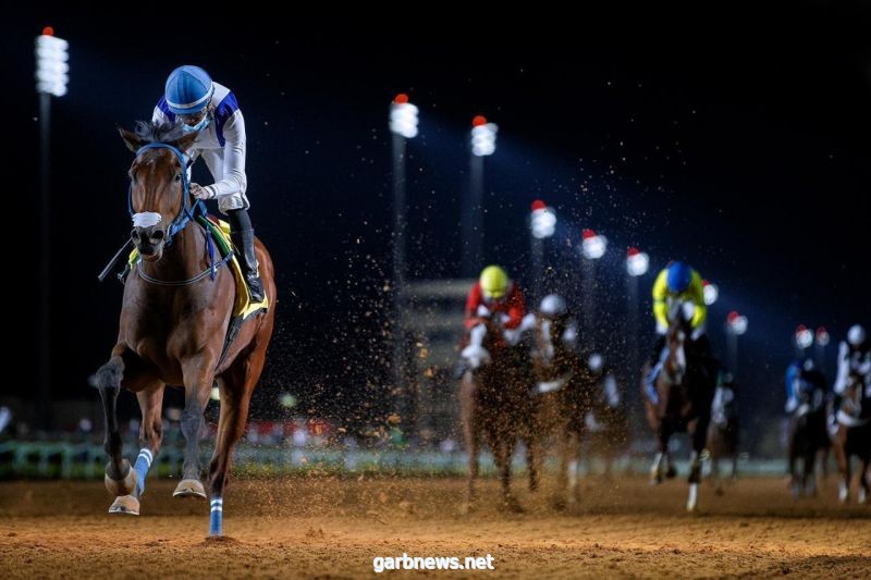 نادي سباقات الخيل يعتمد 36 جواداً لكأس خادم الحرمين الشريفين