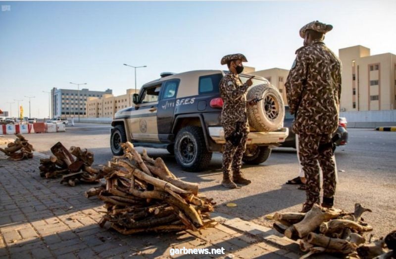 القوات الخاصة للأمن البيئي تضبط أكثر من 9 أطنان من الحطب المحلي المعد للبيع في الرياض