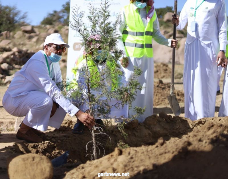 تنظيف منتزه الأمير سلطان بالفرعاء وزراعة عدد من الشتلات ضمن فعاليات أسبوع البيئة