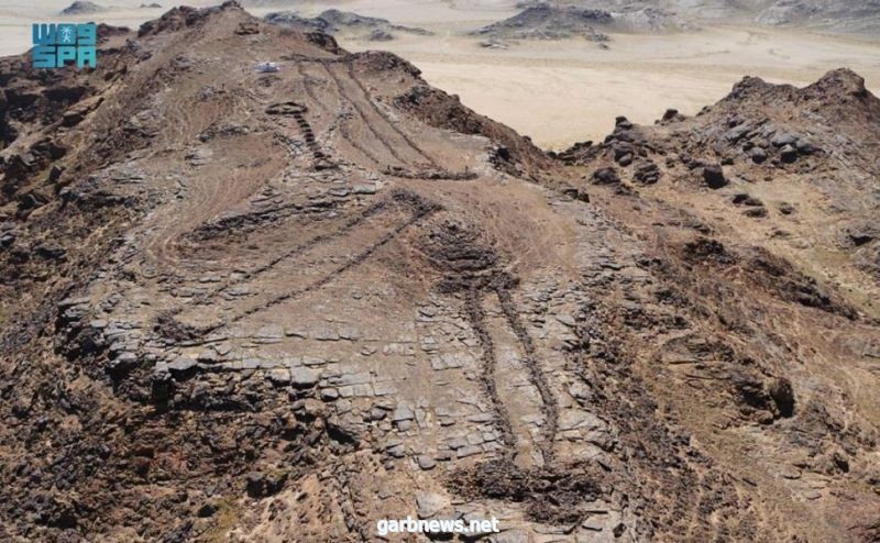 " معهد الممالك " : العلا يكشف عن دراسة حديثة لوجود إحدى أقدم سلاسل الهياكل الأثرية في العالم